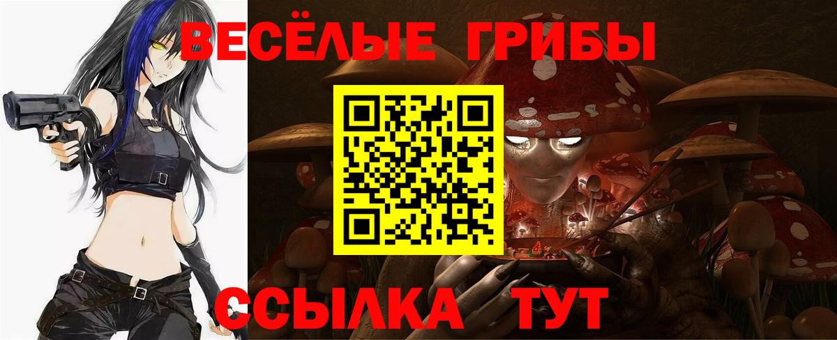 Ипатово  Галлюциногенные грибы Cubensis  Вход с VPN 